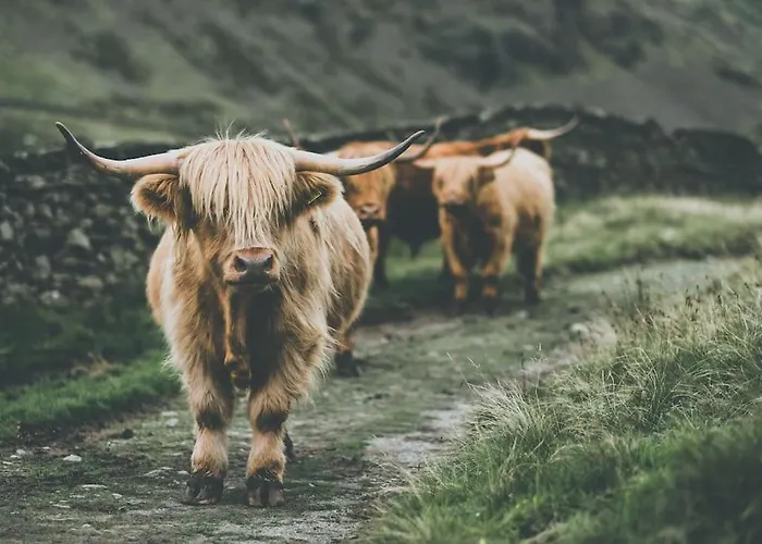 Hollins Nook - Countryside House - Gateway To Lakes National Park 度假居 Burneside